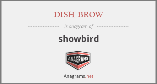 dish brow - showbird