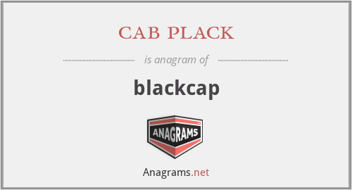 cab plack - blackcap