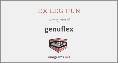 ex leg fun - genuflex